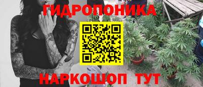 PSILOCYBIN Пугачёв